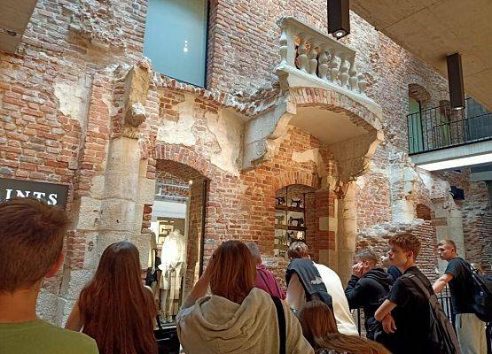 Wawel, sól i rollercoastery grafika