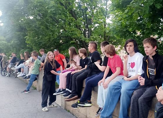 Wawel, sól i rollercoastery grafika