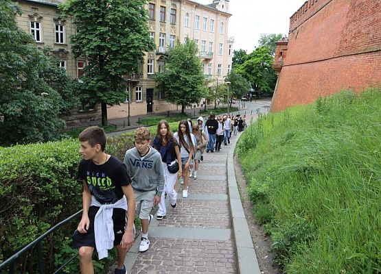 Wawel, sól i rollercoastery grafika
