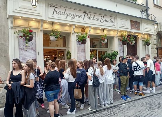 Wawel, sól i rollercoastery grafika