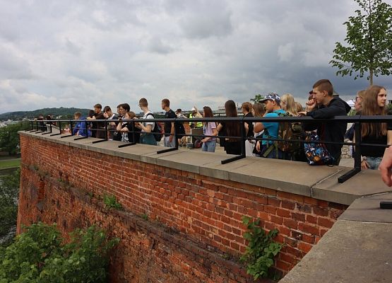Wawel, sól i rollercoastery grafika