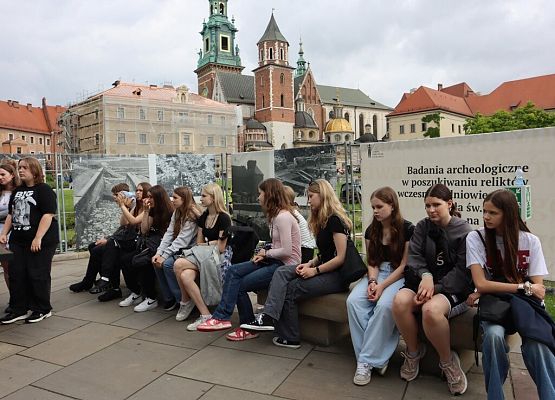 Wawel, sól i rollercoastery grafika