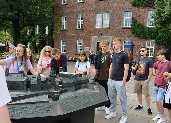 Wawel, sól i rollercoastery grafika