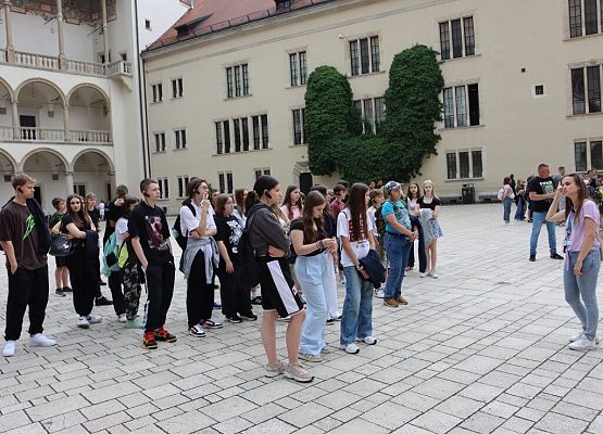 Wawel, sól i rollercoastery grafika