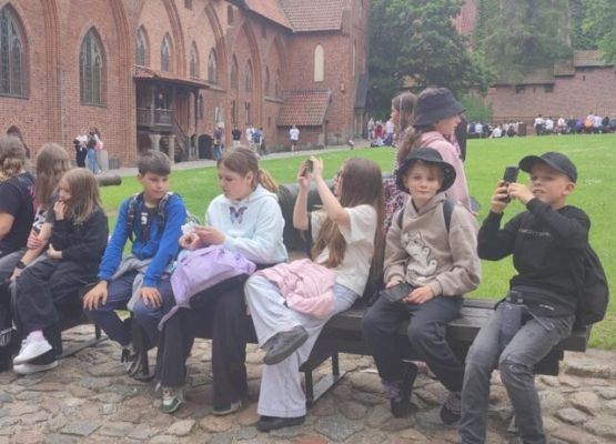 IVc w Malborku grafika