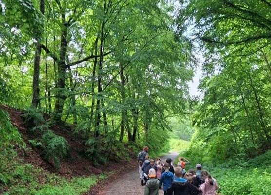 Pionierka obozowa klasy 1a grafika