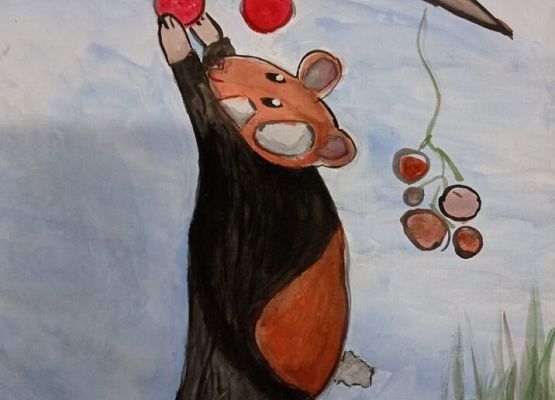 Wyróżnienie i kwalifikacje do wystawy grafika