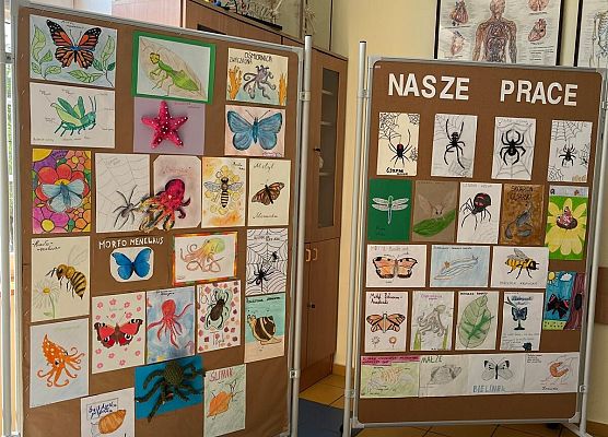 Chodź, namaluję ci bezkręgowca grafika