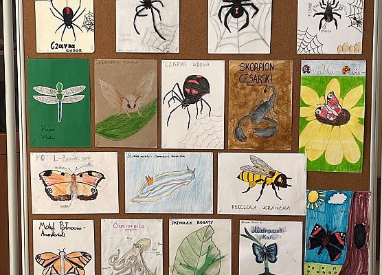 Chodź, namaluję ci bezkręgowca grafika