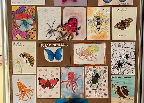 Chodź, namaluję ci bezkręgowca grafika