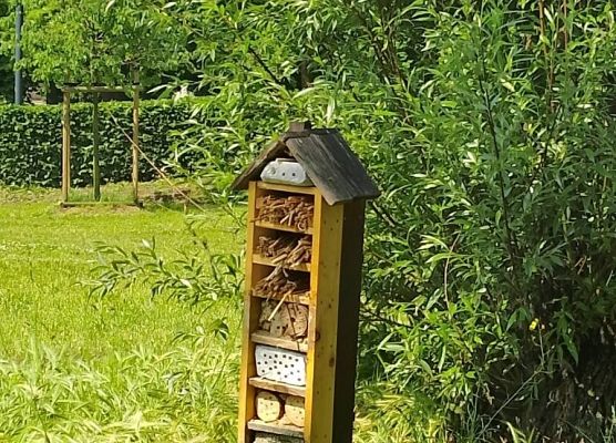 Gra terenowa w Hevelianum grafika