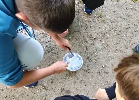 Gra terenowa w Hevelianum grafika