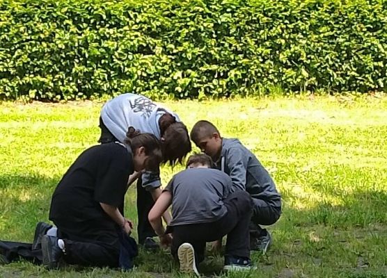 Gra terenowa w Hevelianum grafika