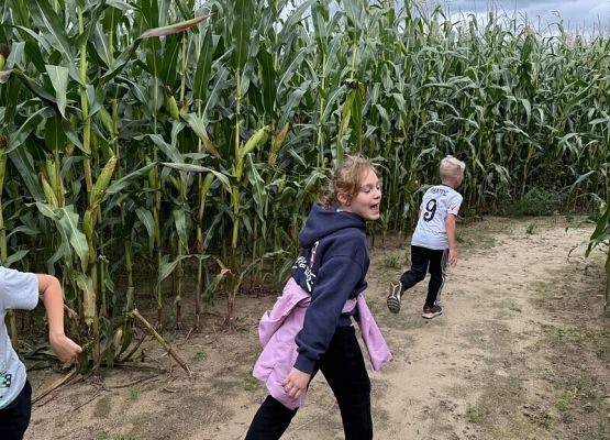 Wycieczka klasy 3C na Farmę Alexa grafika