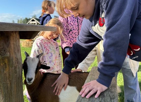 Wycieczka klasy 3C na Farmę Alexa grafika