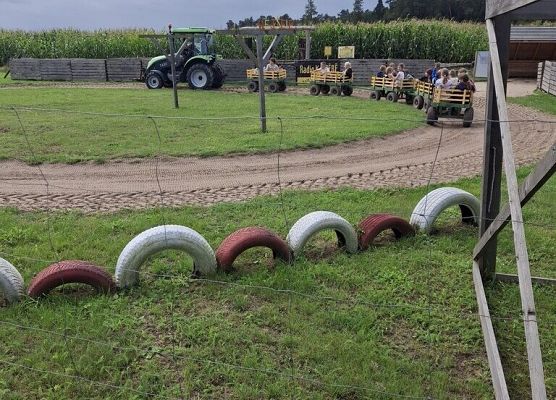 Wycieczka klasy 3C na Farmę Alexa grafika