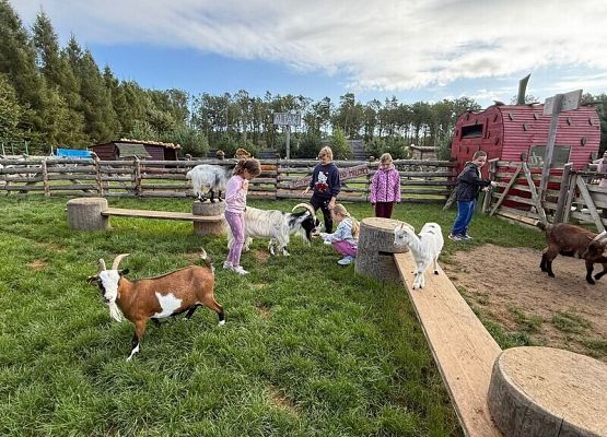 Wycieczka klasy 3C na Farmę Alexa grafika