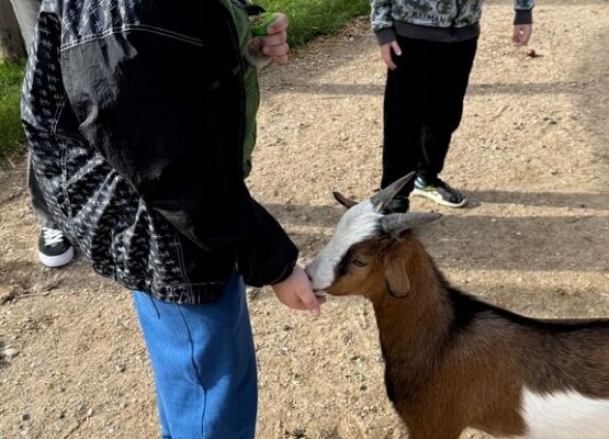 Wycieczka klasy 3C na Farmę Alexa grafika