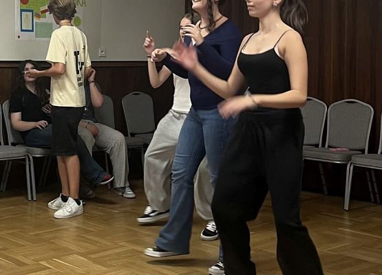 Polsko – niemiecka wymiana młodzieży w Gdańsku grafika