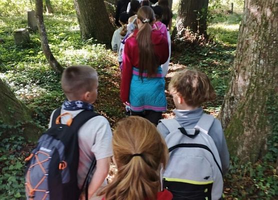 Pieszo czy na rowerze? grafika