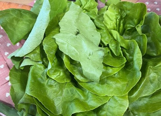 EDUKACJA ZDROWOTNA w naszej szkole grafika