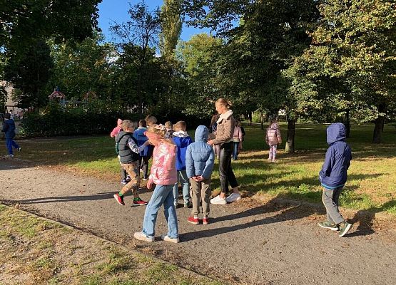 Edukacja przyrodniczna w parku grafika