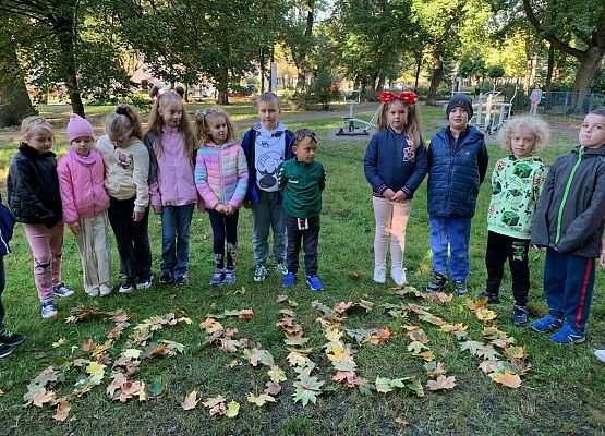 Edukacja przyrodniczna w parku grafika