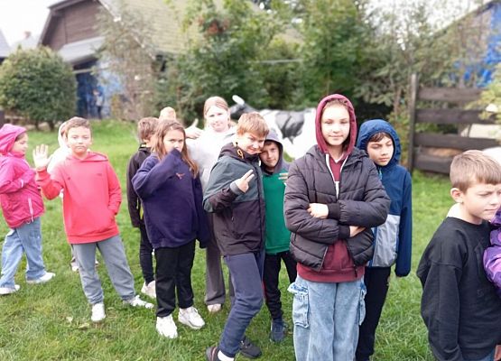 IVd u piratów grafika