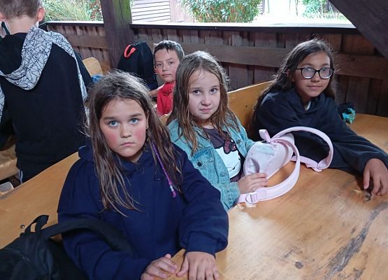 IVd u piratów grafika