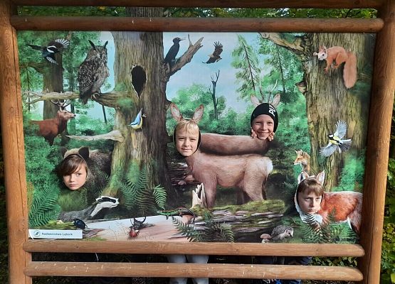 Lekcja przyrody w Uroczysku Drętowo grafika