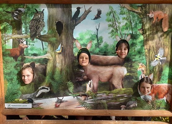 Lekcja przyrody w Uroczysku Drętowo grafika