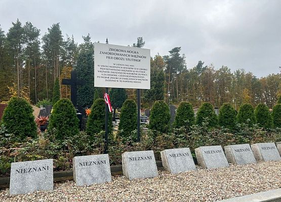 Szkoła pamięta grafika