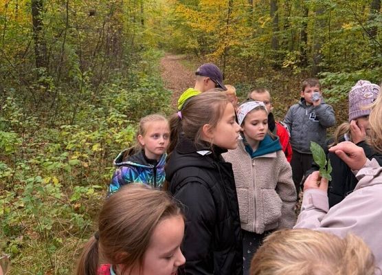 Wyjście do lasu 2c grafika