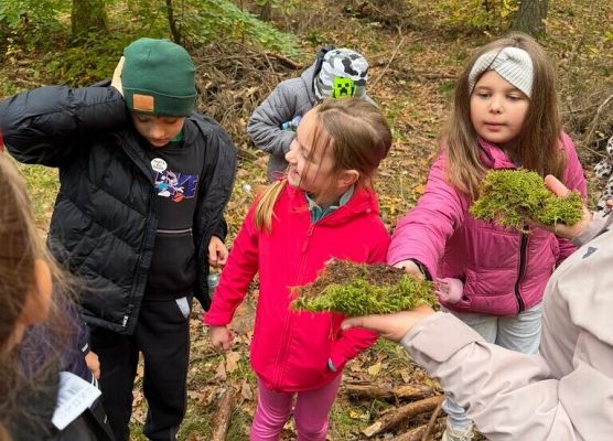 Wyjście do lasu 2c grafika