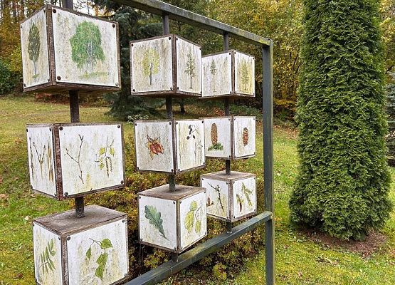 Lekcja przyrody w terenie – klasy 2a i 2b grafika