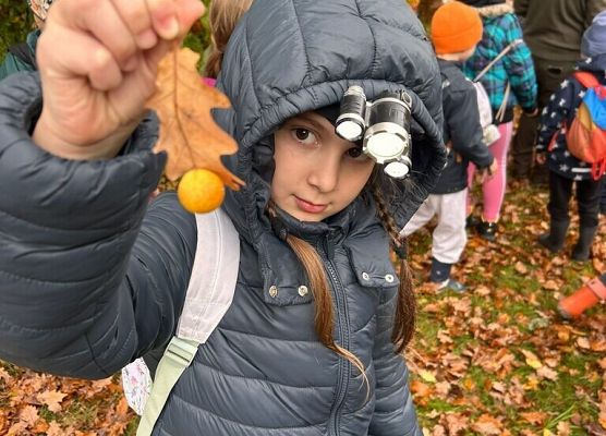 Lekcja przyrody w terenie – klasy 2a i 2b grafika