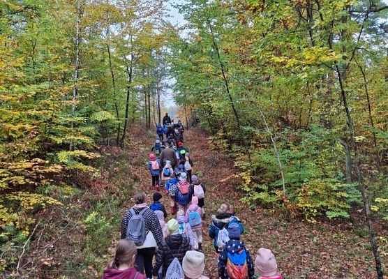 Lekcja przyrody w terenie – klasy 2a i 2b grafika