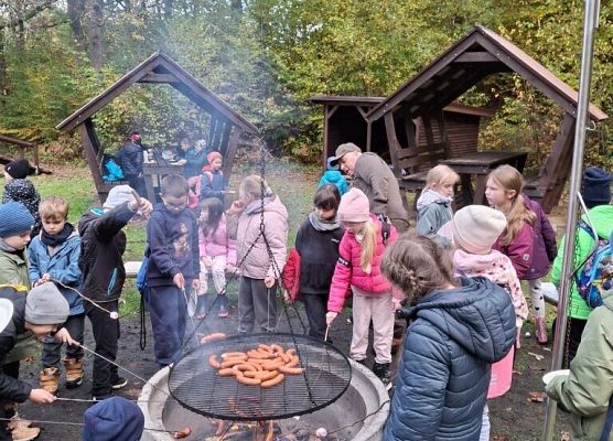 Lekcja przyrody w terenie – klasy 2a i 2b grafika
