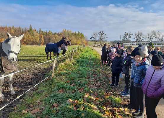 Wycieczka klas 1c i 3b do Stadniny „Ewro” w Małoszycach grafika