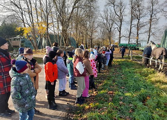 Wycieczka klas 1c i 3b do Stadniny „Ewro” w Małoszycach grafika