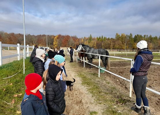 Wycieczka klas 1c i 3b do Stadniny „Ewro” w Małoszycach grafika