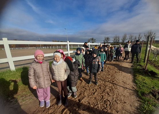 Wycieczka klas 1c i 3b do Stadniny „Ewro” w Małoszycach grafika