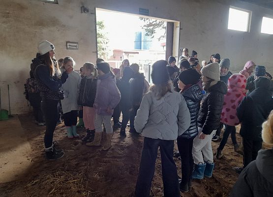 Wycieczka klas 1c i 3b do Stadniny „Ewro” w Małoszycach grafika