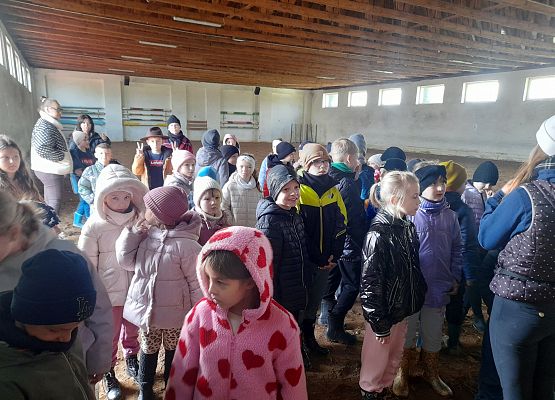 Wycieczka klas 1c i 3b do Stadniny „Ewro” w Małoszycach grafika