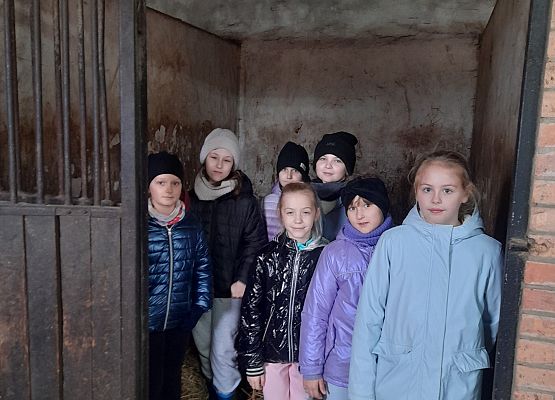 Wycieczka klas 1c i 3b do Stadniny „Ewro” w Małoszycach grafika