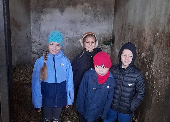 Wycieczka klas 1c i 3b do Stadniny „Ewro” w Małoszycach grafika