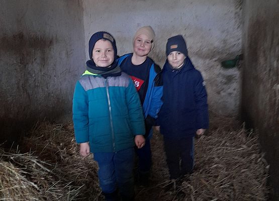 Wycieczka klas 1c i 3b do Stadniny „Ewro” w Małoszycach grafika