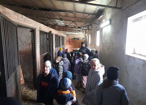 Wycieczka klas 1c i 3b do Stadniny „Ewro” w Małoszycach grafika