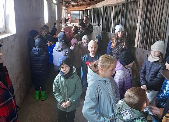 Wycieczka klas 1c i 3b do Stadniny „Ewro” w Małoszycach grafika