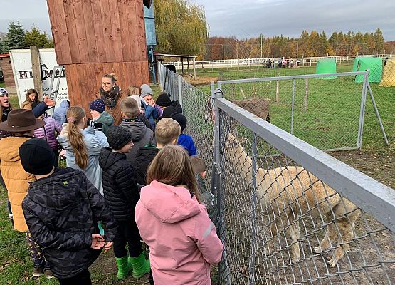 Wycieczka klas 1c i 3b do Stadniny „Ewro” w Małoszycach grafika